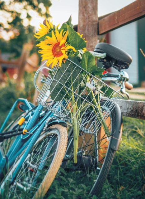 Winking Bike - Bicycle Parts & Accessories